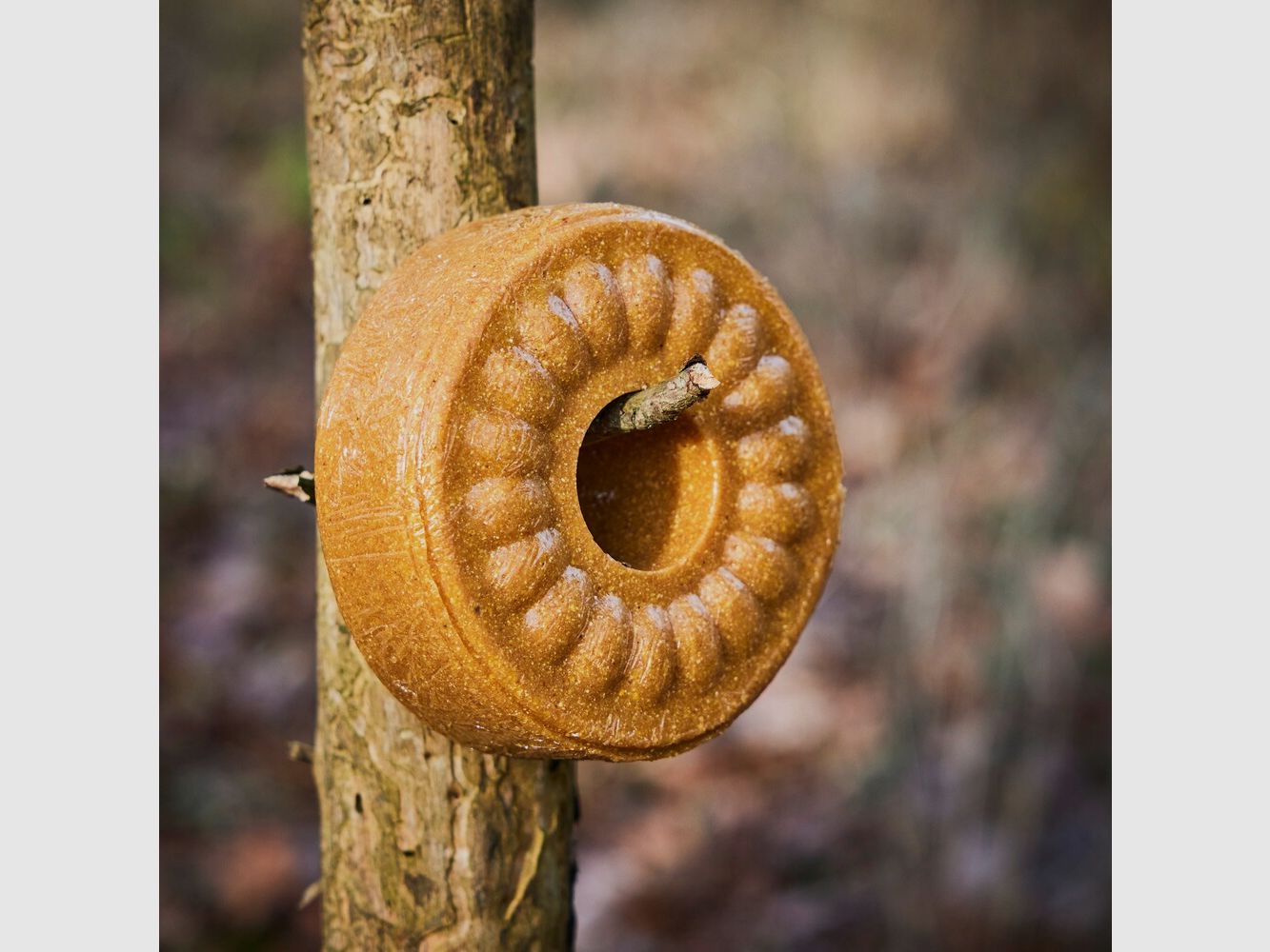 Wildlutscher Anise lick, billede 3 af 5