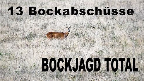 13 Bockabschüsse - BOCKJAGD TOTAL