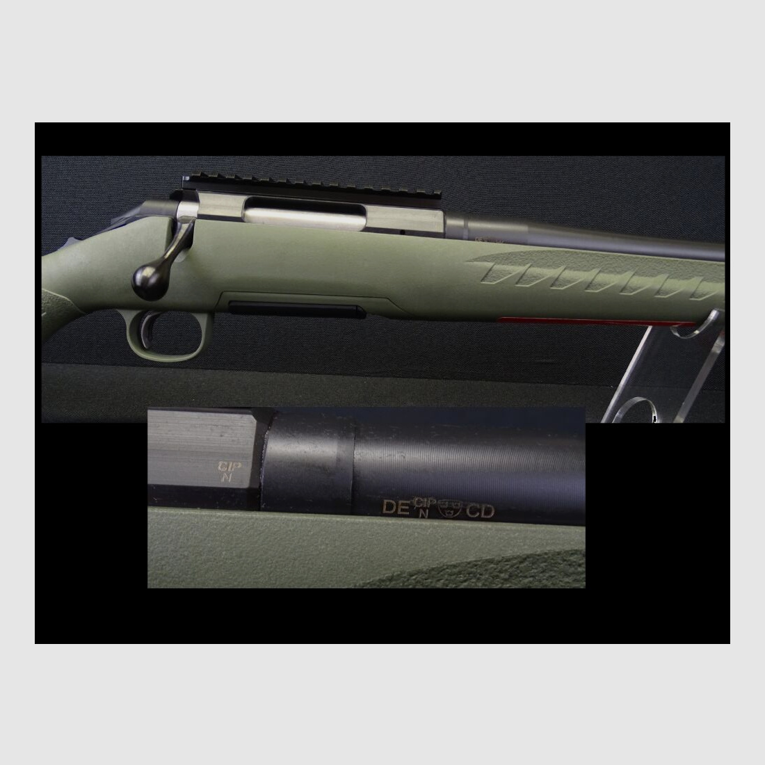 Ruger Amercian Predator
