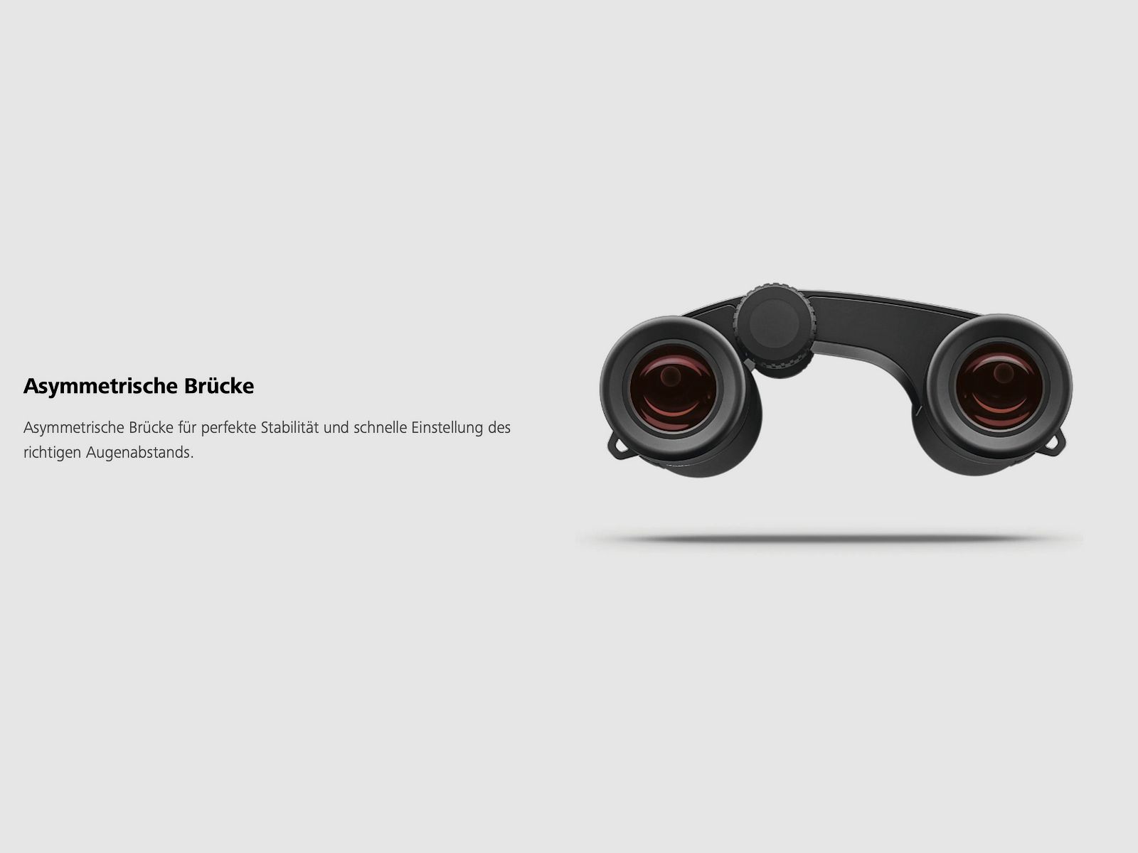 ZEISS Victory Pocket 10x25 Fernglas mit Tragriemen und Tasche