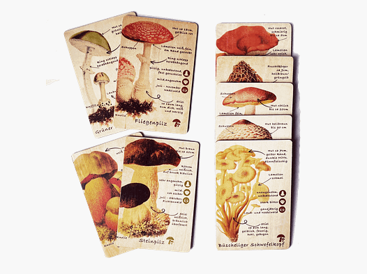 Holzkarten Lernkarten Pilze Set (9 Karten)