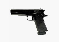 NORINCO NP 30 .45Auto