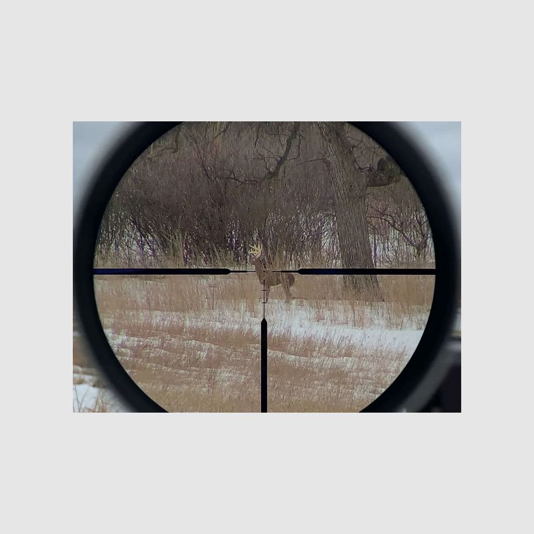 VORTEX Razor LHT 3-15x50 G4i BDC MRAD