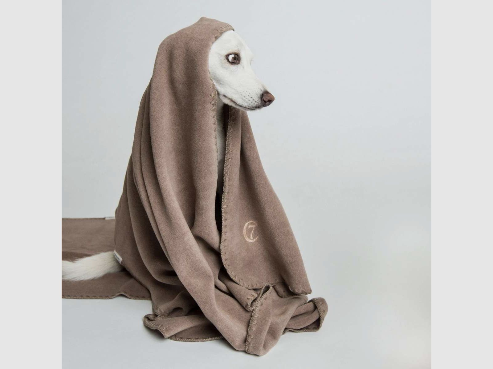 Hundedecke Soft Fleece, Bild 1 von 10