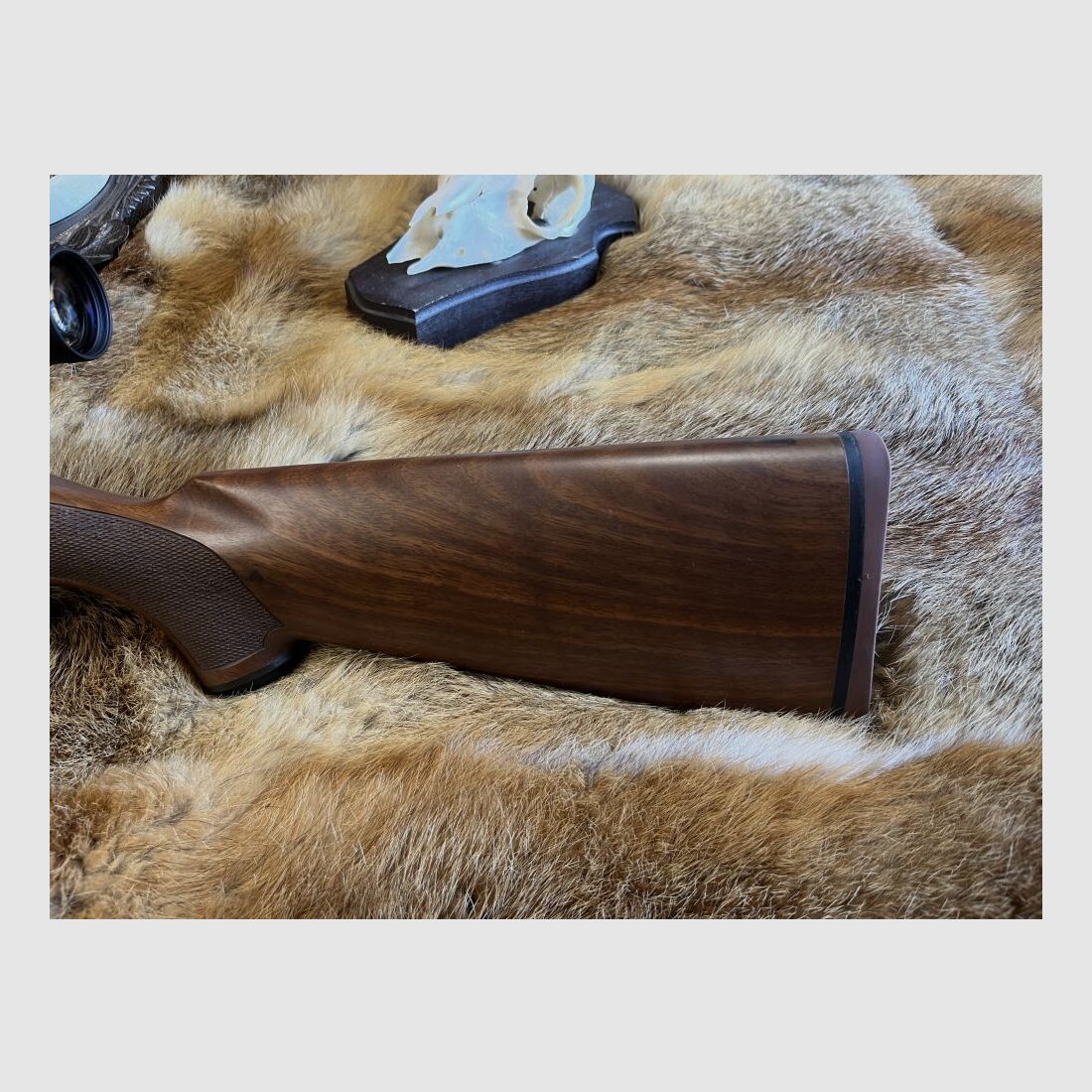 Ruger 77