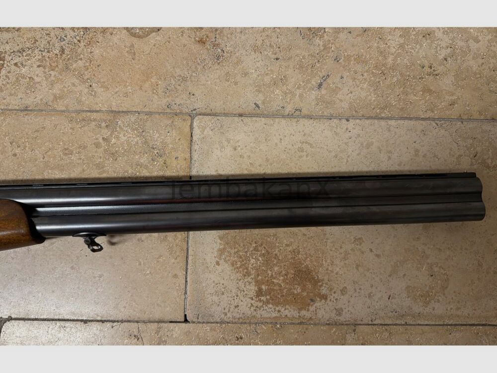 Sauer Beretta ohne 12/70