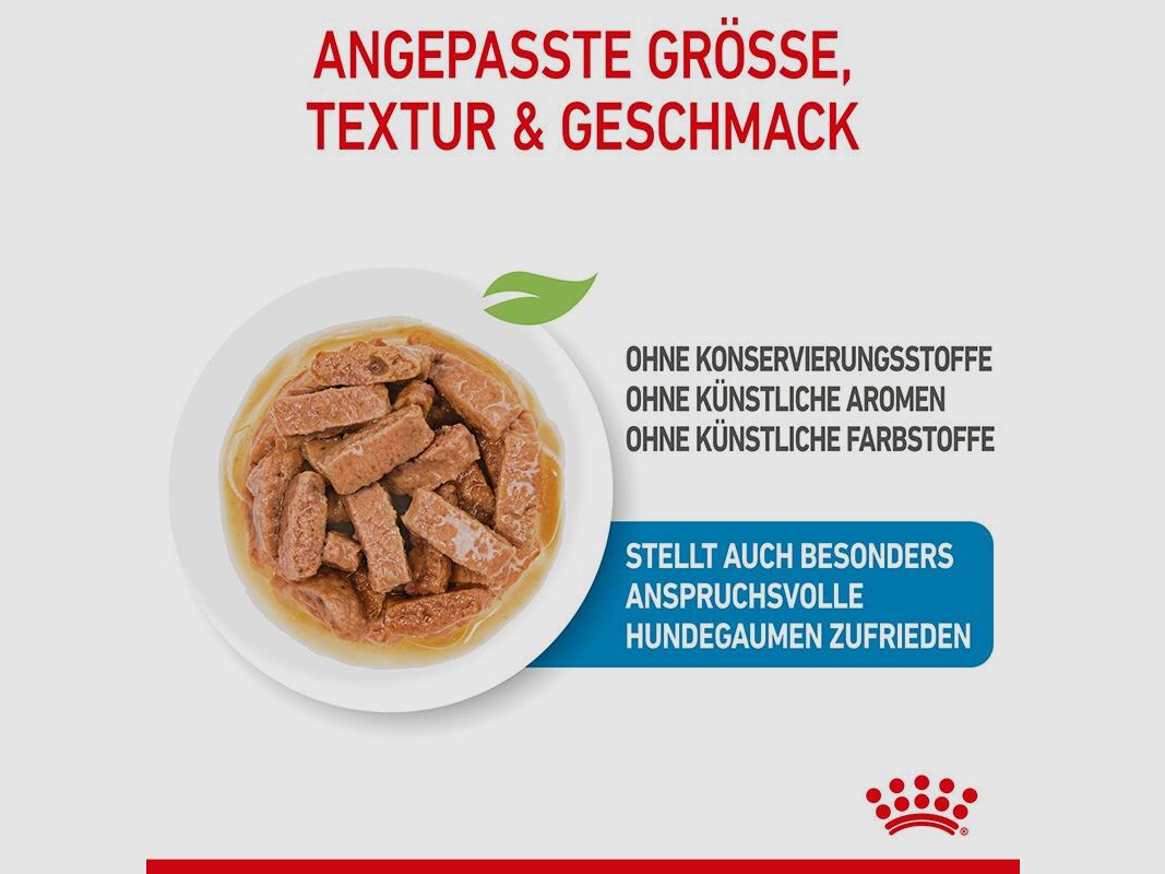ROYAL CANIN Große Hunde Nassfutter Maxi Welpen bis zum 15. Monat 10x140 g