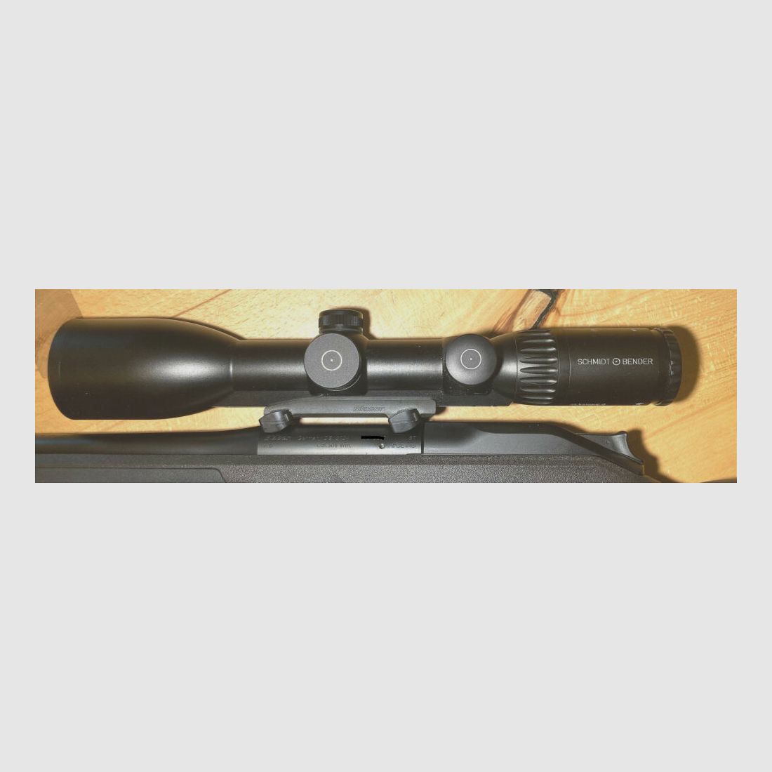 Blaser Professional Success met Schmidt & Bender Polar T96