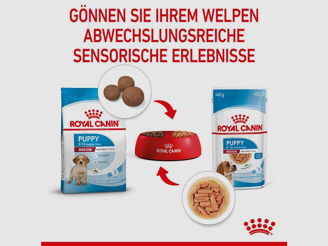 ROYAL CANIN Mittelgroße Hunde Nassfutter Welpen bis zum 12. Monat 10x140 g