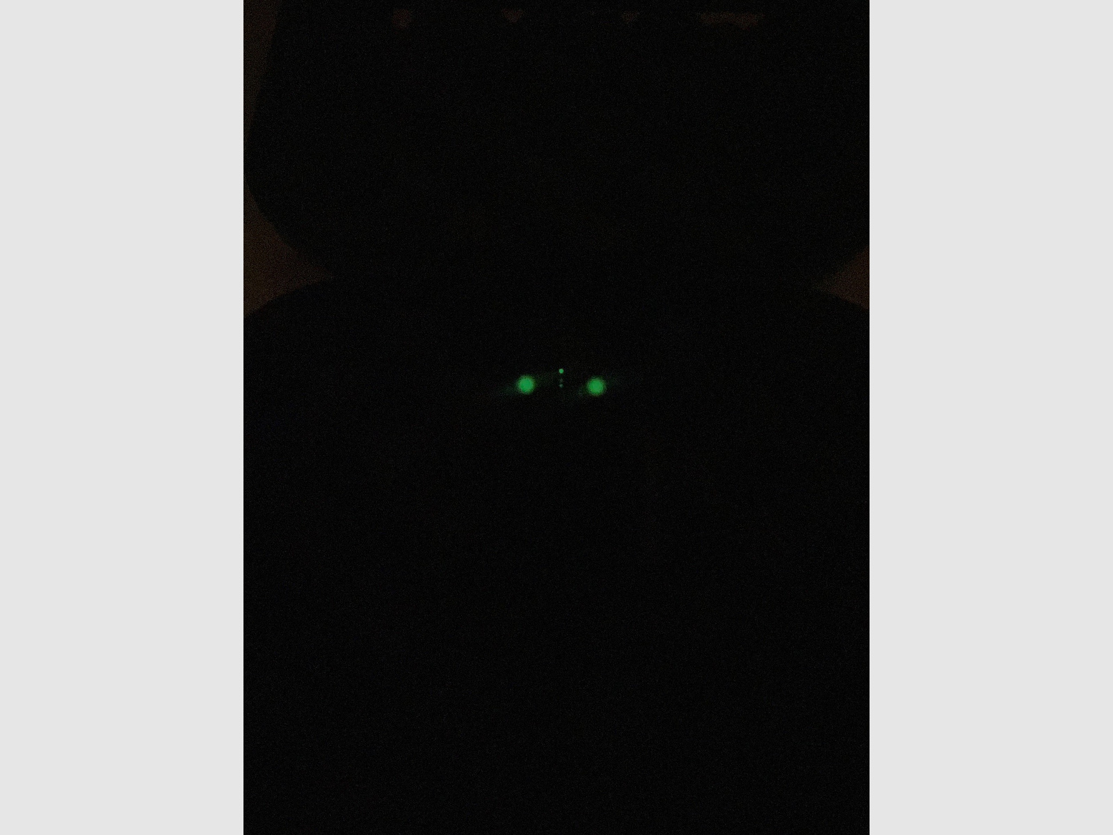 Glock 19 Gen 5 MOS + Trijicon Nachtsichtgerät + Magazin