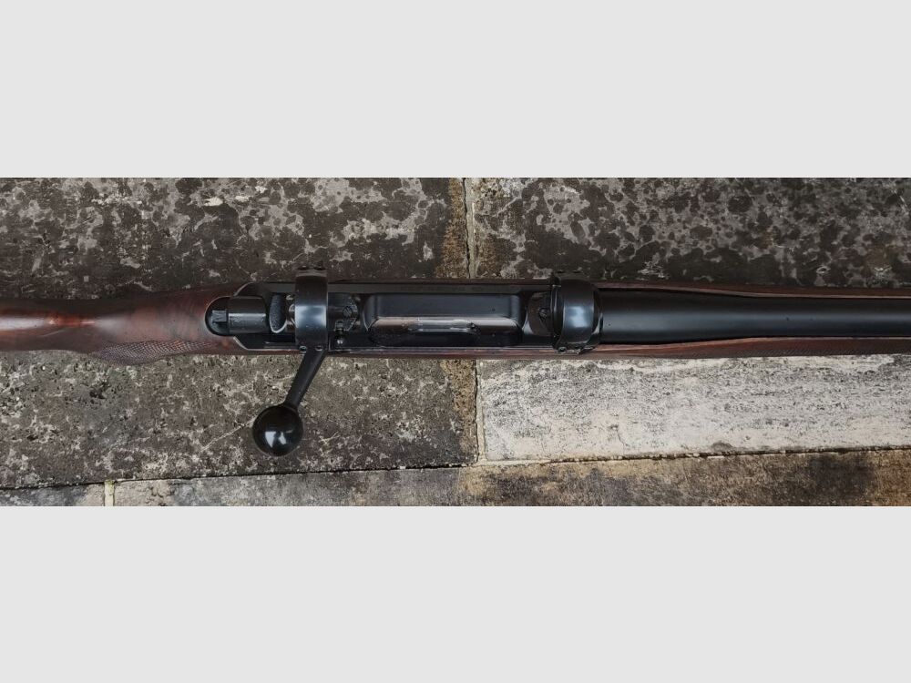 Sauer 200