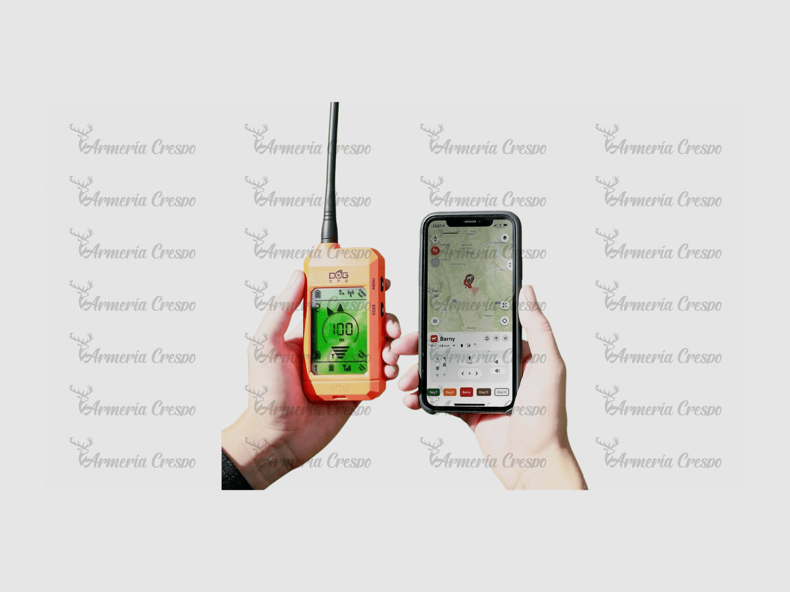 Dogtrace GPS X30-B Beeper, Bild 3 von 4
