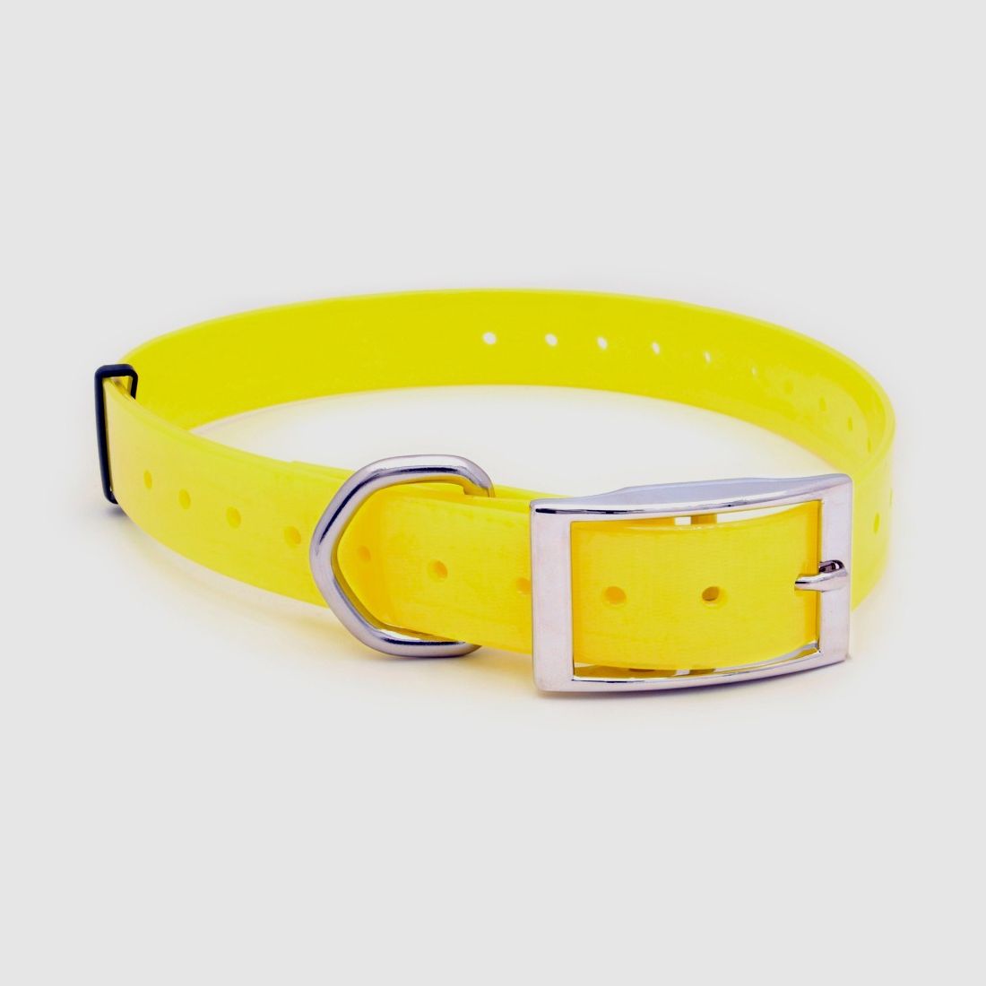 Halsband «Polytec» 25mm – Fuchsia, Bild 10 von 12