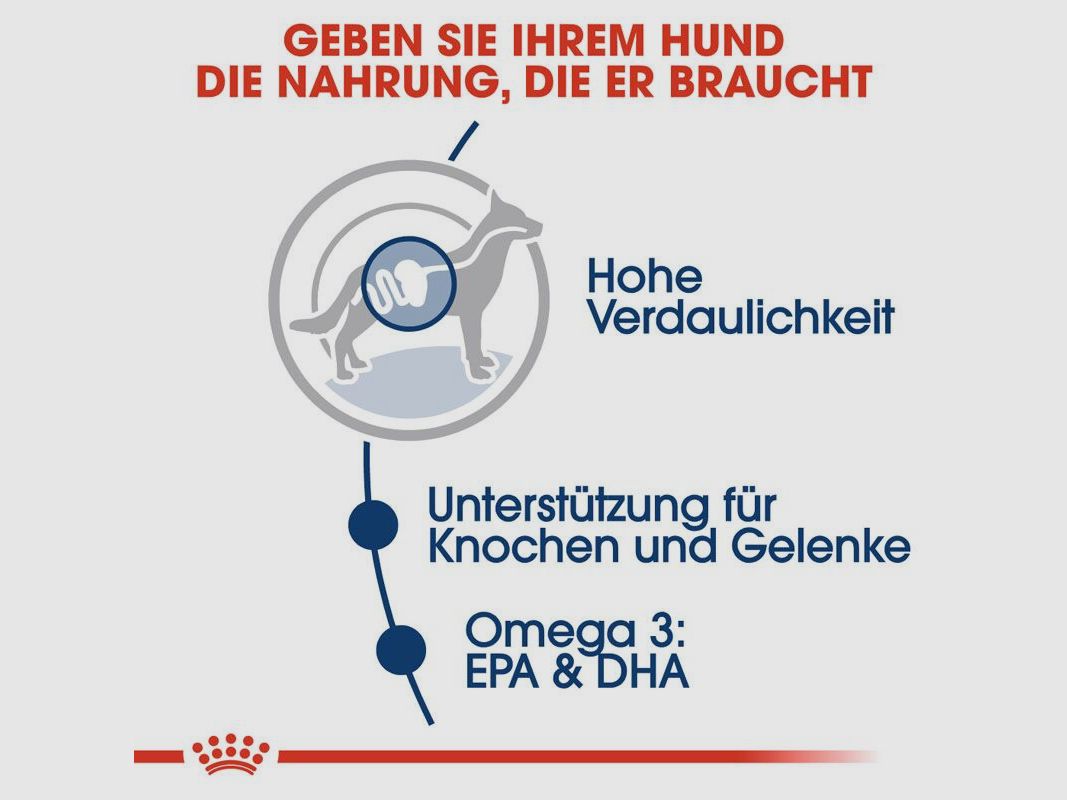 ROYAL CANIN Große Hunde Nassfutter Maxi Adult 10x140 g