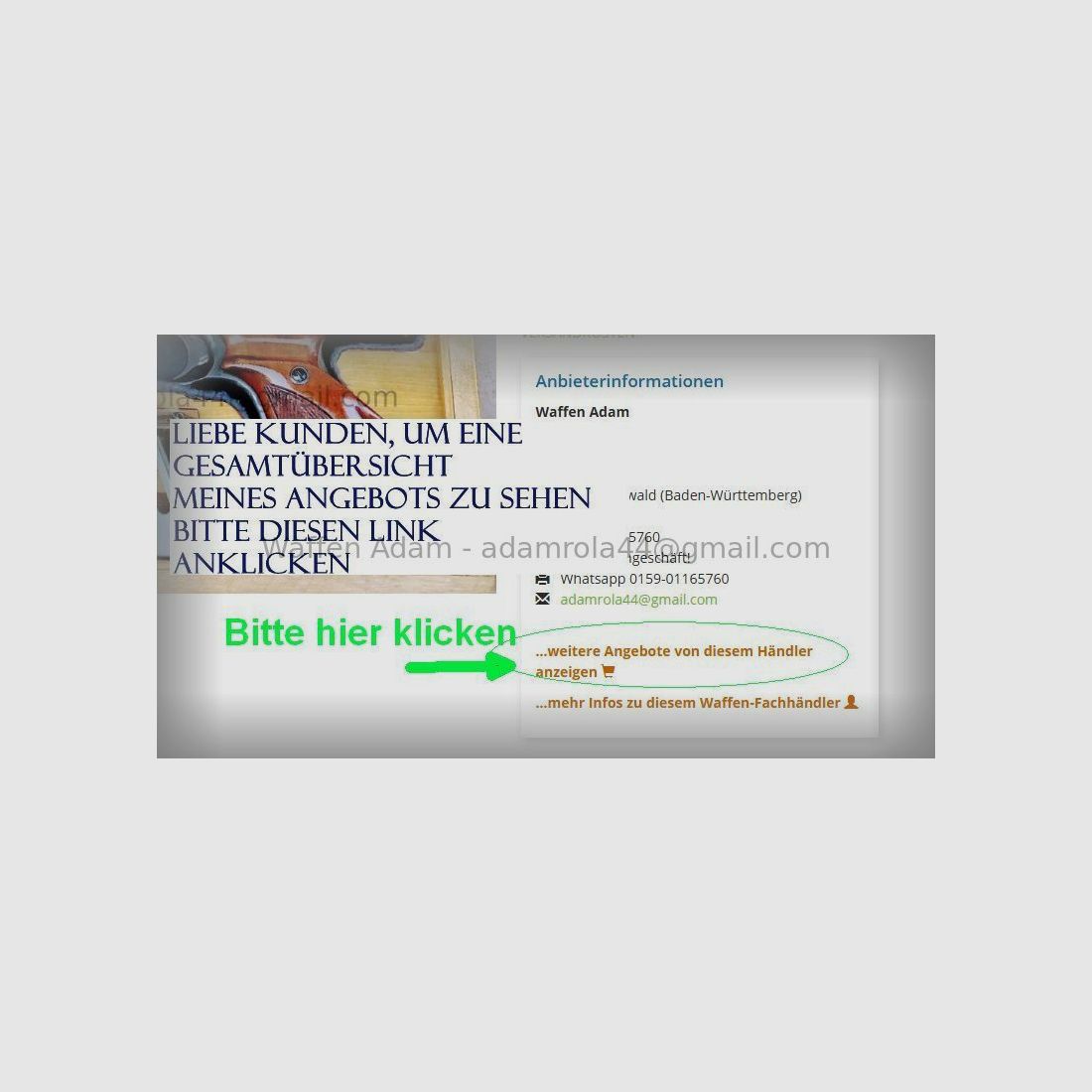W+F Bern Revolver d'Ordonnance 29