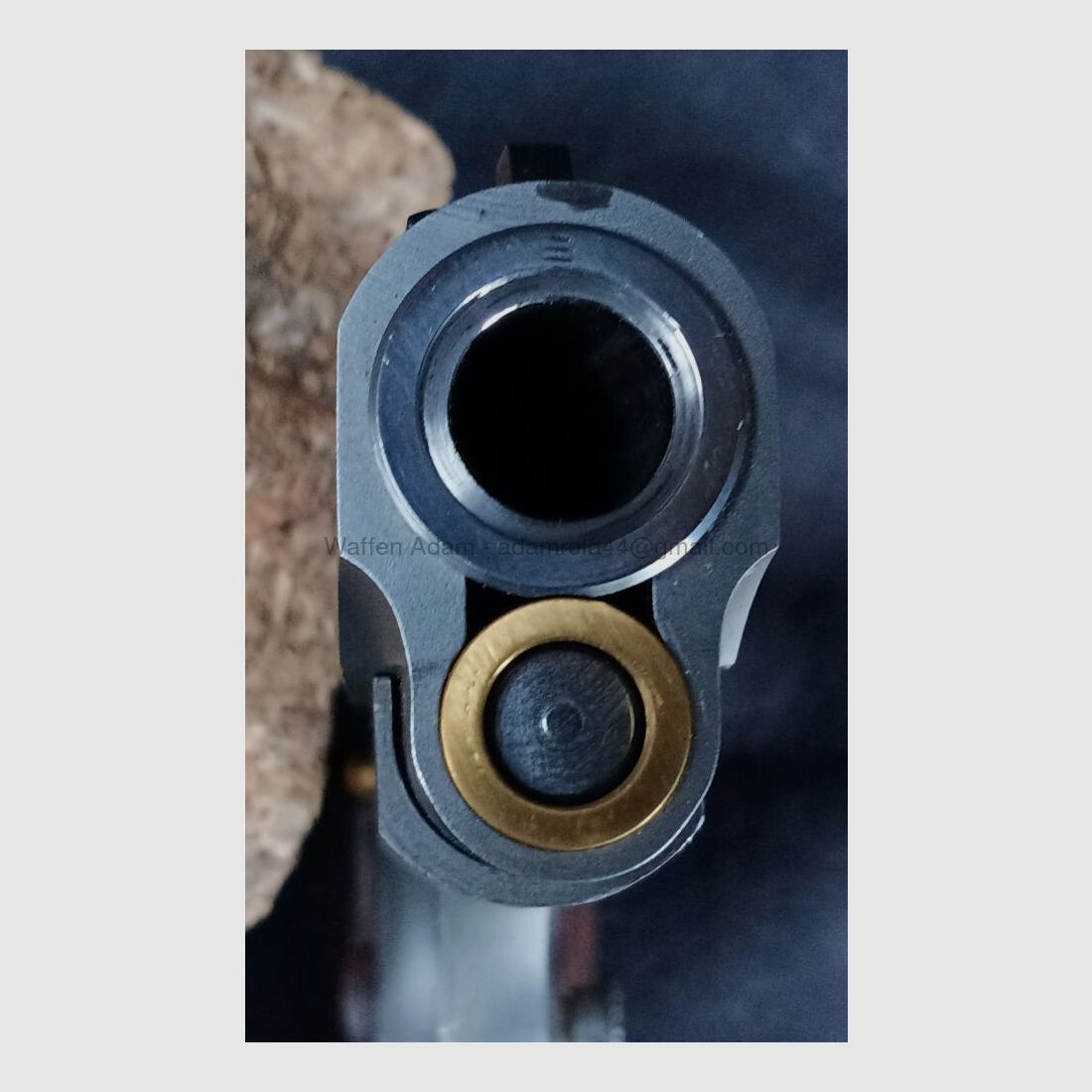 Springfield 1911 C-D