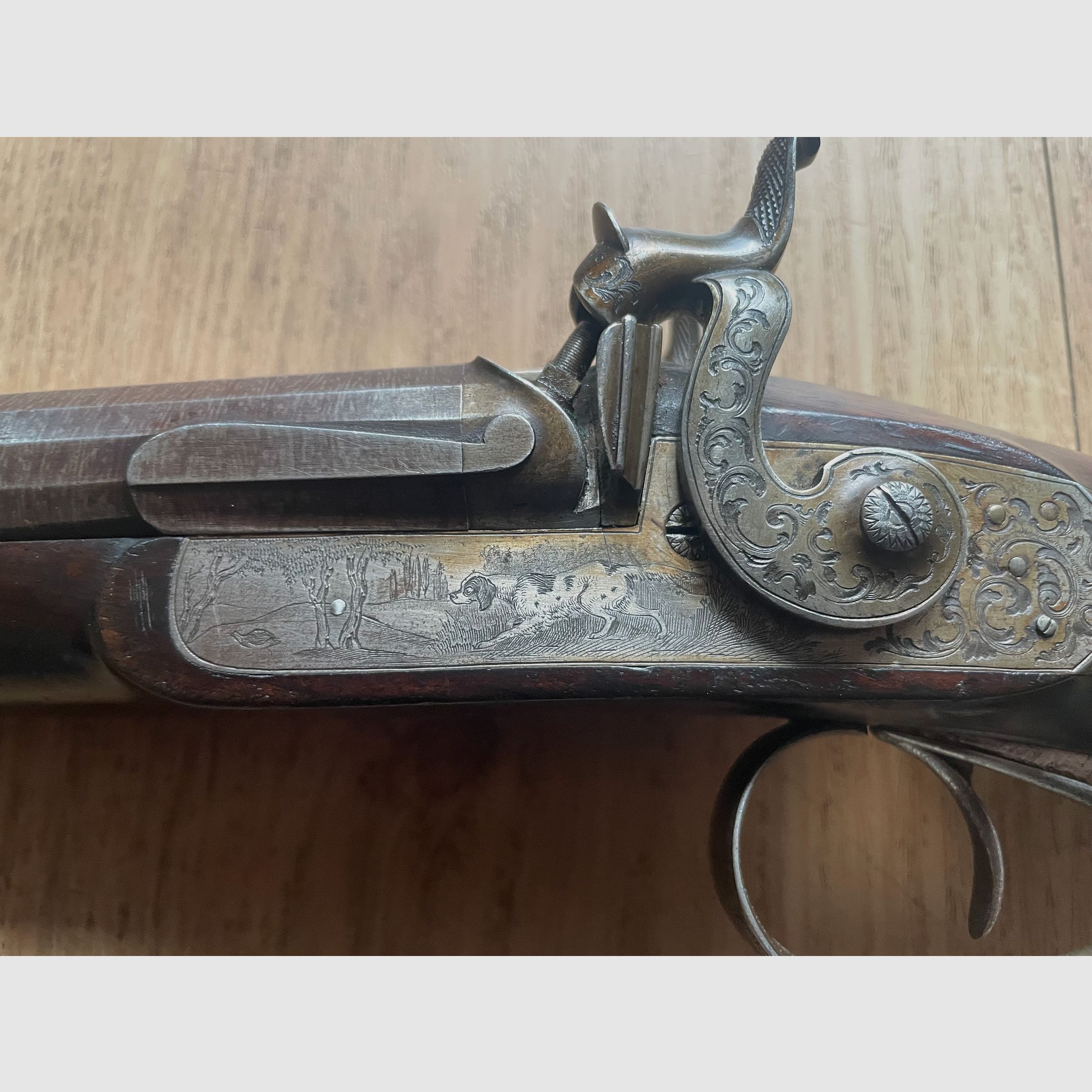 Beau fusil à chargement par l'avant