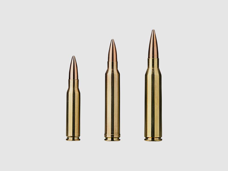 Sako TRG Precision .223 Rem. 4.5g, Bild 2 von 2