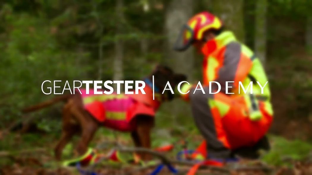 Geartester Academy Schweißarbeit für deinen Jagdhund