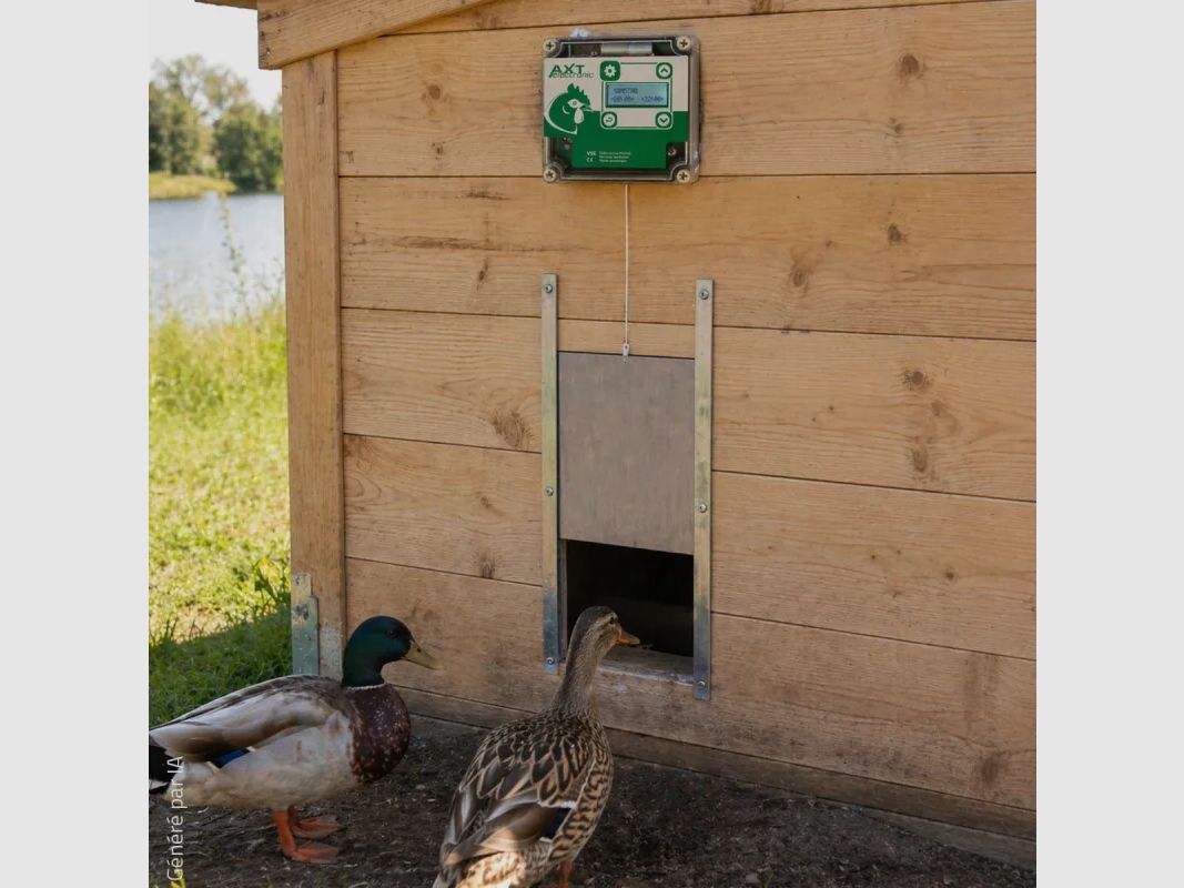 Portier à horloge + trappe canard 30 × 40 cm, image 5 sur 13