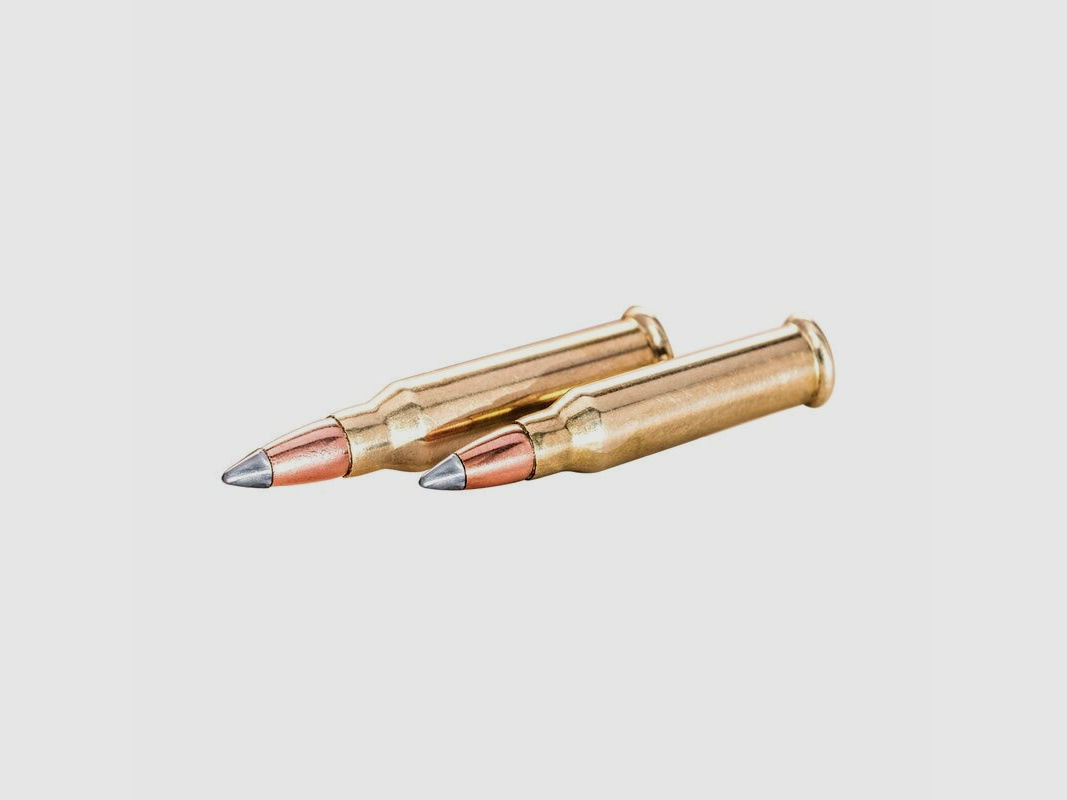 Winchester Varmint HV 17grain - 50Stk