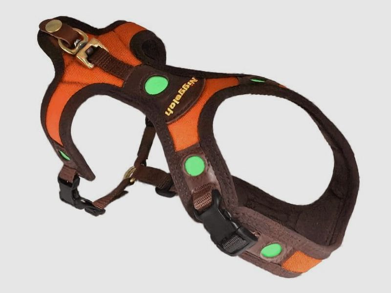 Niggeloh Follow Light Spot Dog Handler Harness