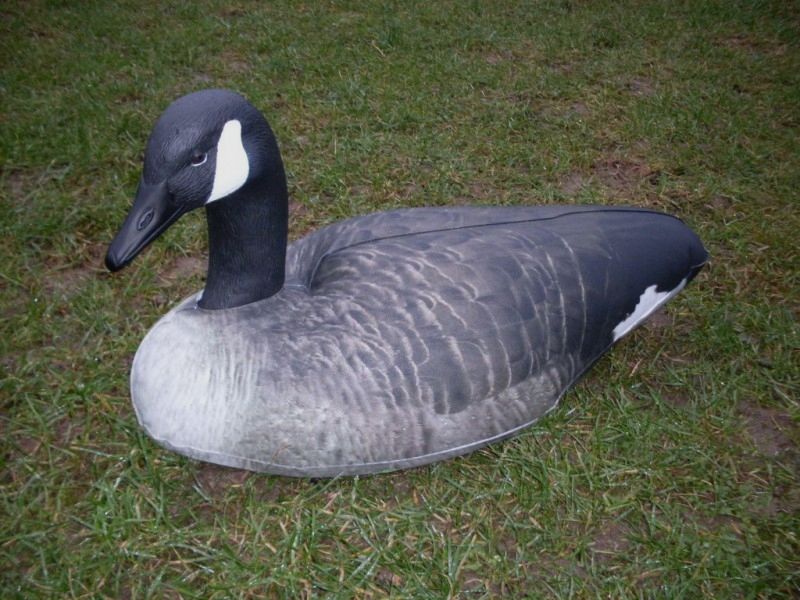 Featherlites Fusion Series Canada Goose (4 Stk.) Gans, Bild 1 von 3