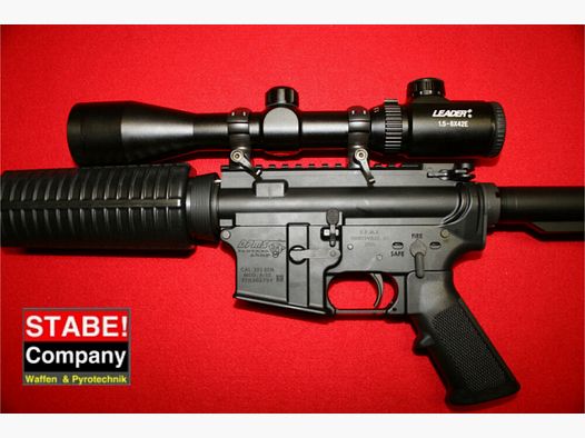 DPMS Lite 16