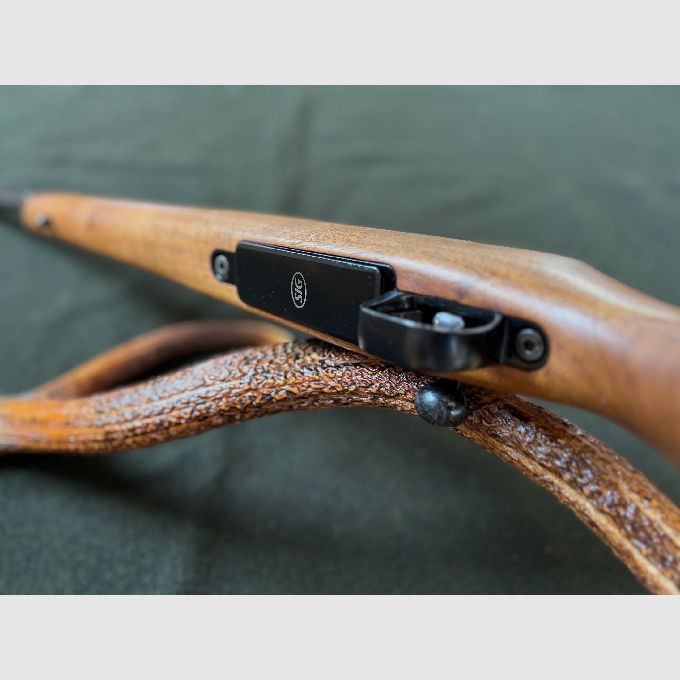 SIG 98 in .30-06 / ähnlich Sauer 202