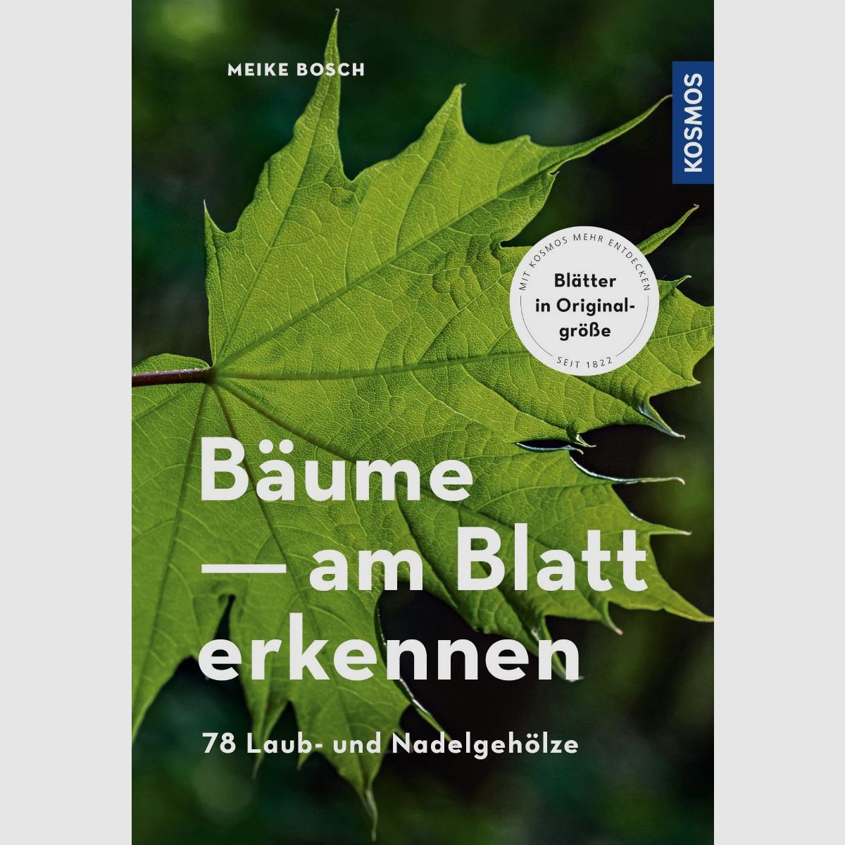 Kosmos Bäume am Blatt erkennen Meike Bosch