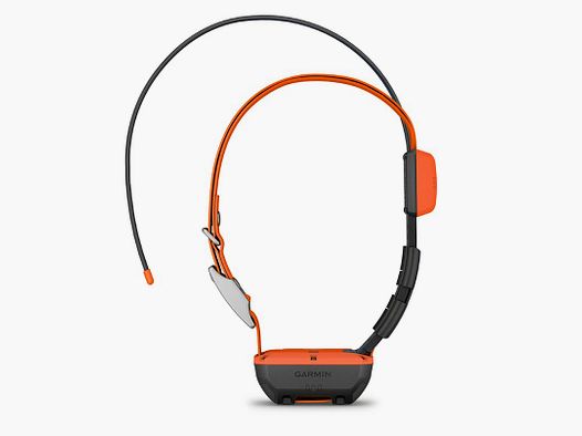 Garmin Collare per cani Alpha T 20 K