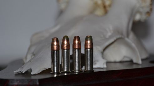 RWS .22 lfb HV Green Fragmentation