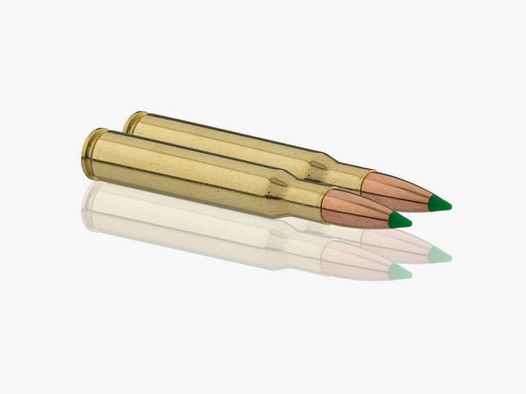 Sologne Nosler Ballistic Tip Nabojów - Kal. 30-06 Sprg Sub