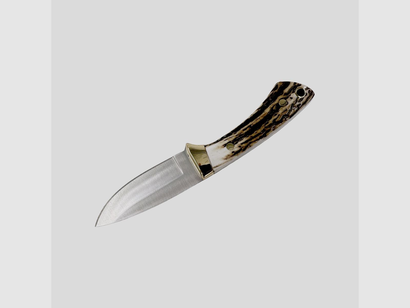 Muela – Colibri 62011, afbeelding 2 van 3