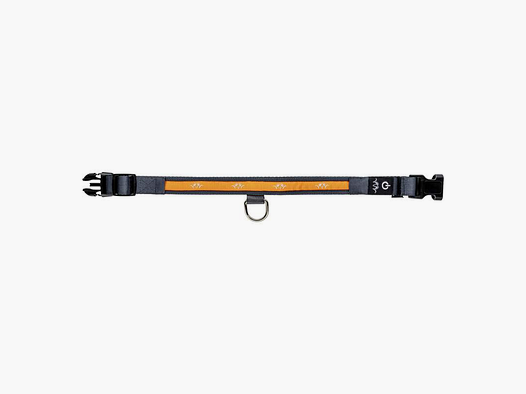 Blaser LED-Hundehalsband