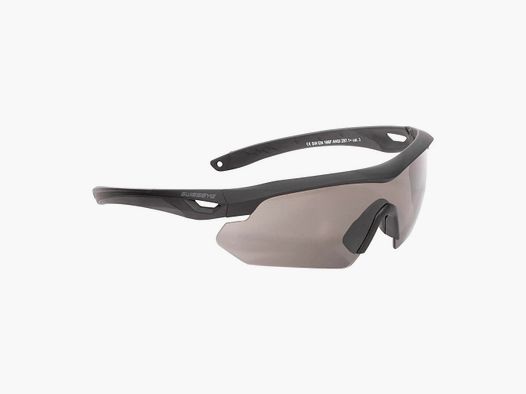 Swisseye Swiss Eye Schutzbrille Nighthawk schwarz/smoke