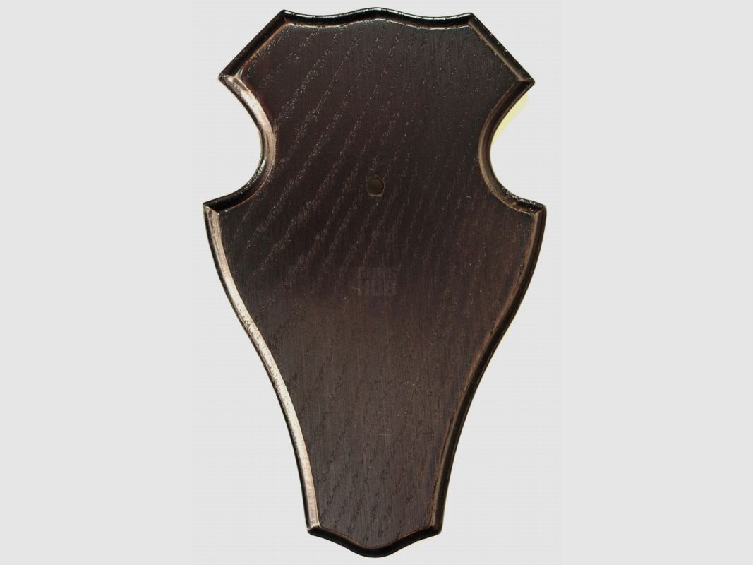 Hirnschädelbrett für Hirsch 001 40x22cm, Bild 1 von 4