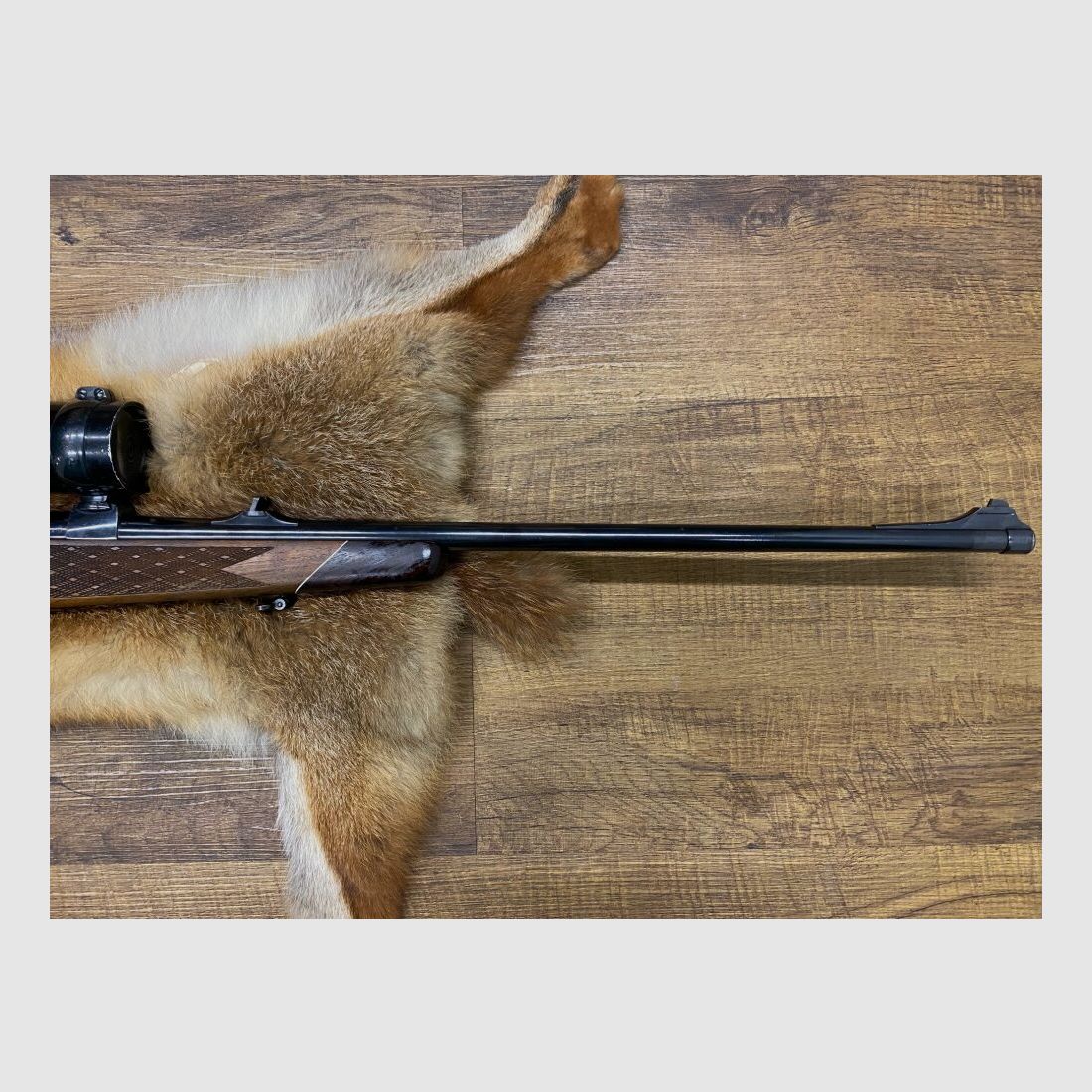 Sauer 80