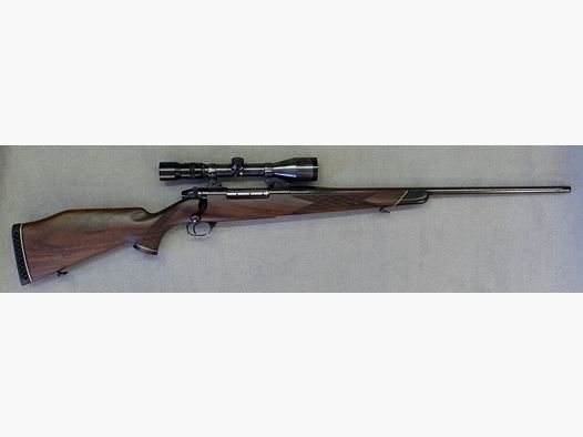 Sauer Weatherby Mark V
