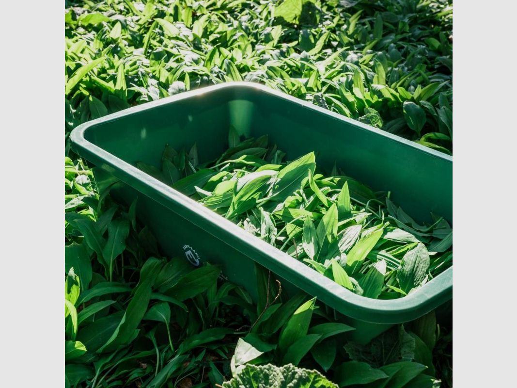Farm-Land Wild tub 60 liters food safe