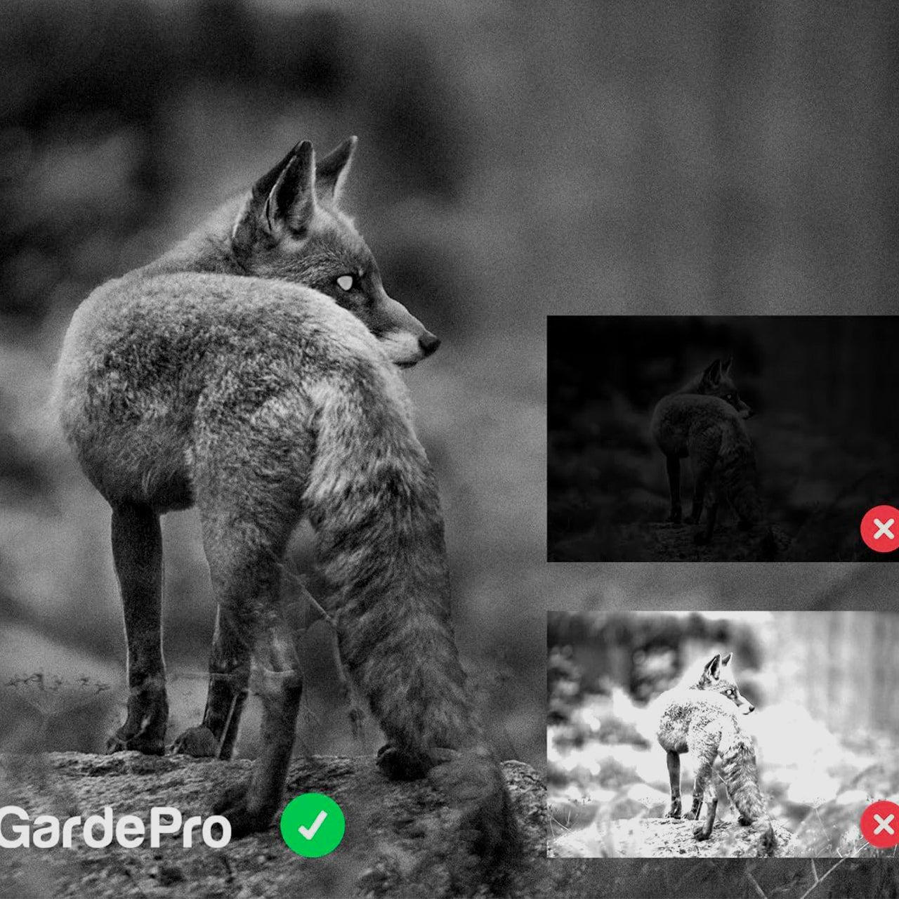 Wildkamera GardePro E5 S, Bild 7 von 9