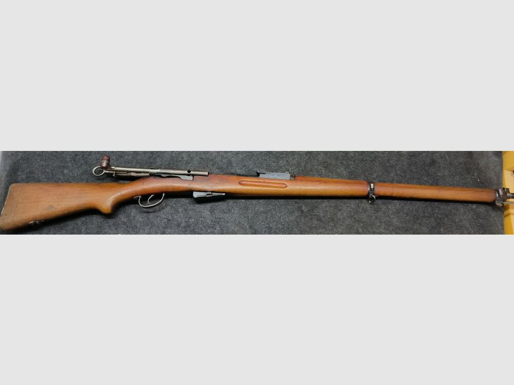 Schmidt Rubin G11