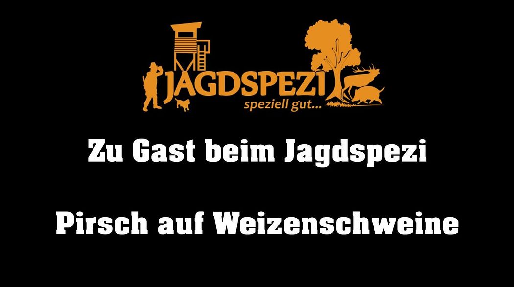 Weizenschweine // Jagd mit Wärmebild auf Wildschweine