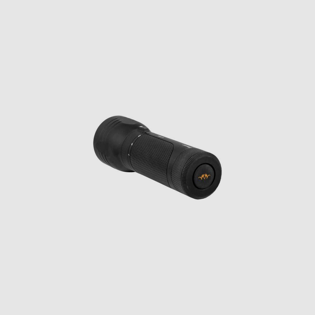 Lampe HL6000 BLASER, image 2 sur 5