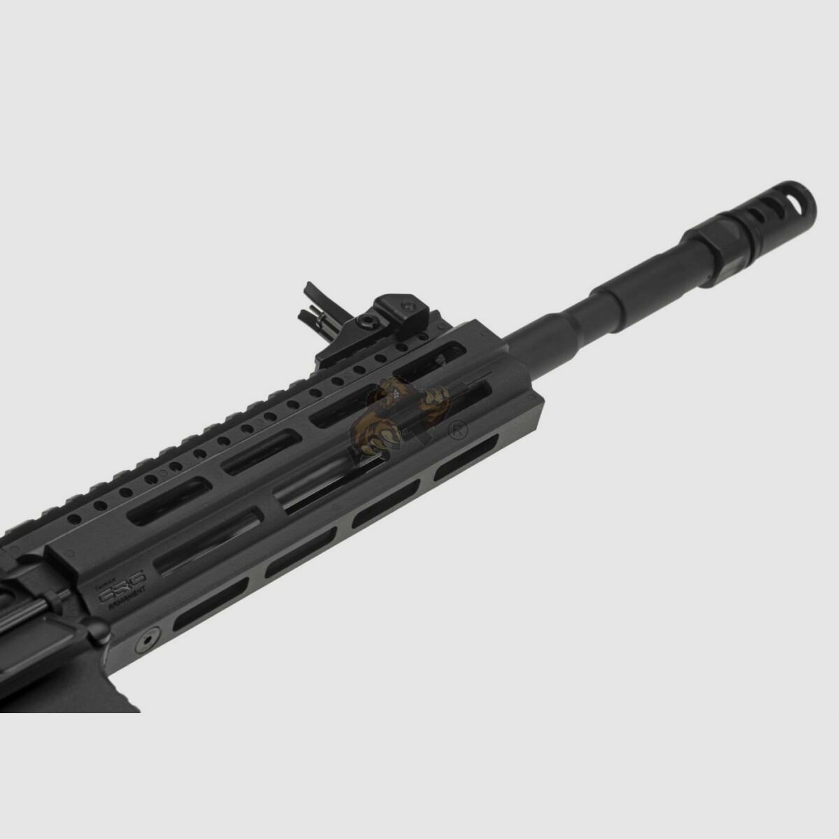 G&G CM16 Raider L 2.0E with ETU in Black Airsoft S-AEG free from 18