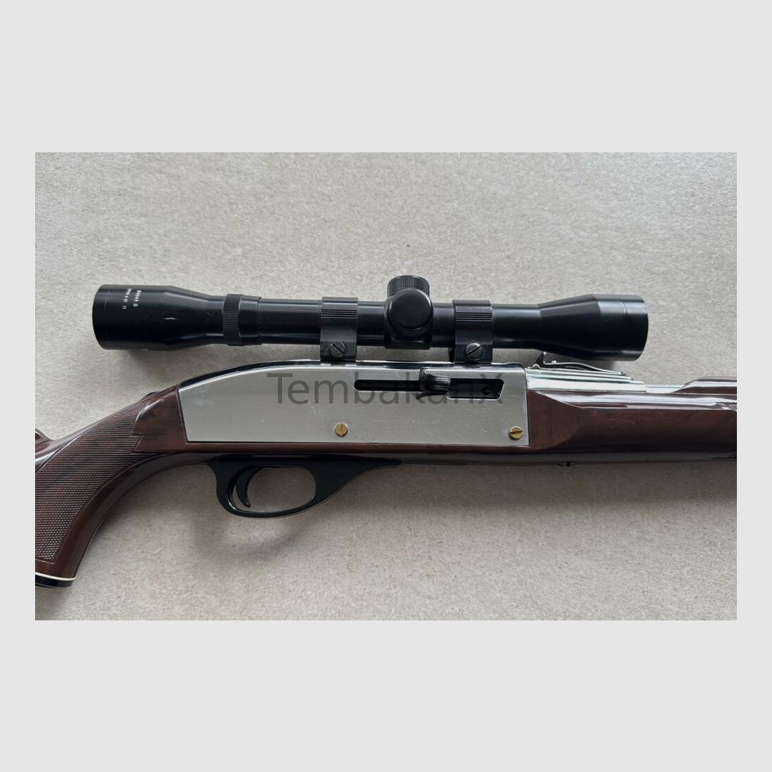 Remington Nylon 66 .22lr