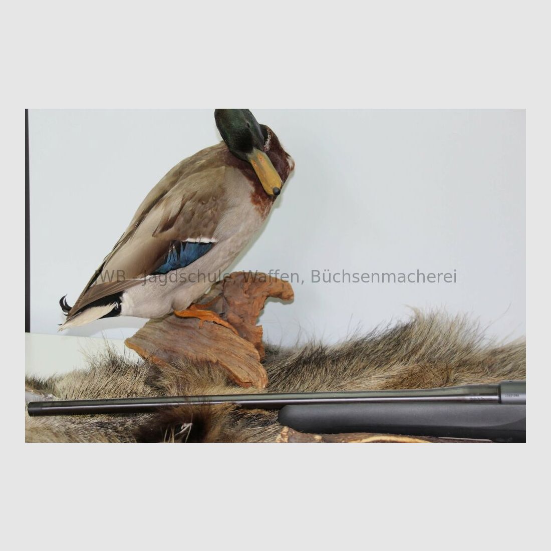 Mauser M18 Vorführwaffe ungeschossen und unmontiert mit Mündungsgewinde .30-06Spring