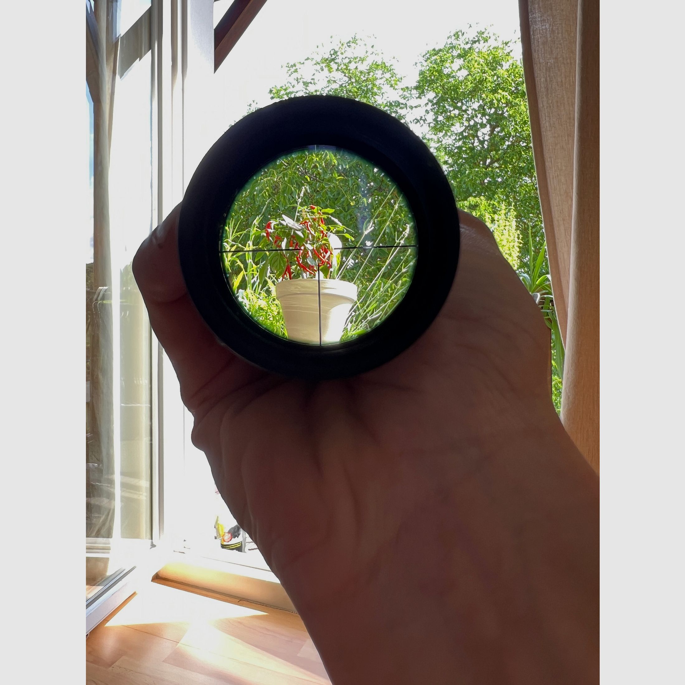 Professor Optiken Ammersee 2,5-15x56 Zielfernrohr