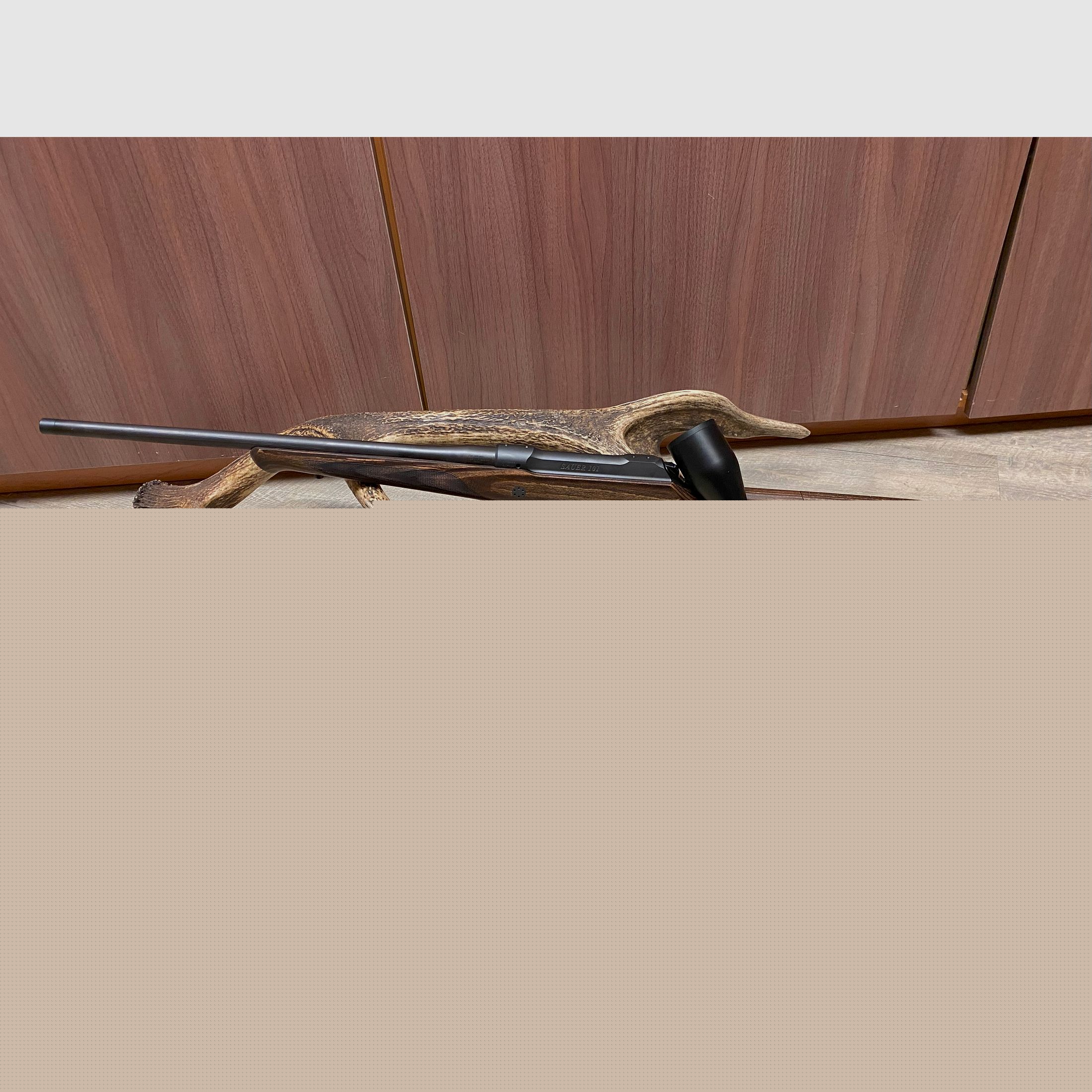 Sauer 101 GTI, con Blaser B2 2-12x50 iC S, con riel