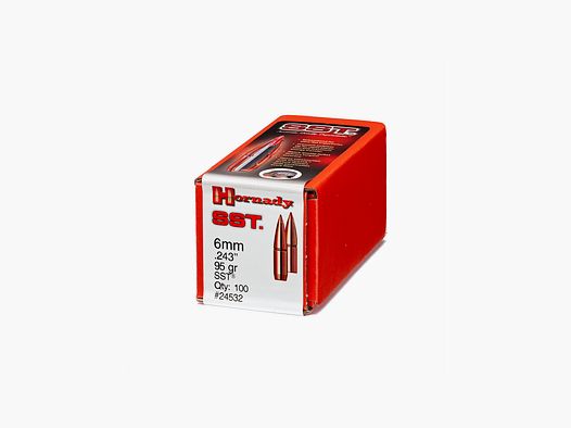 HORNADY GESCHOSSE 243 / 6 MM 95 GRS / 6,1 G SST 100 STK